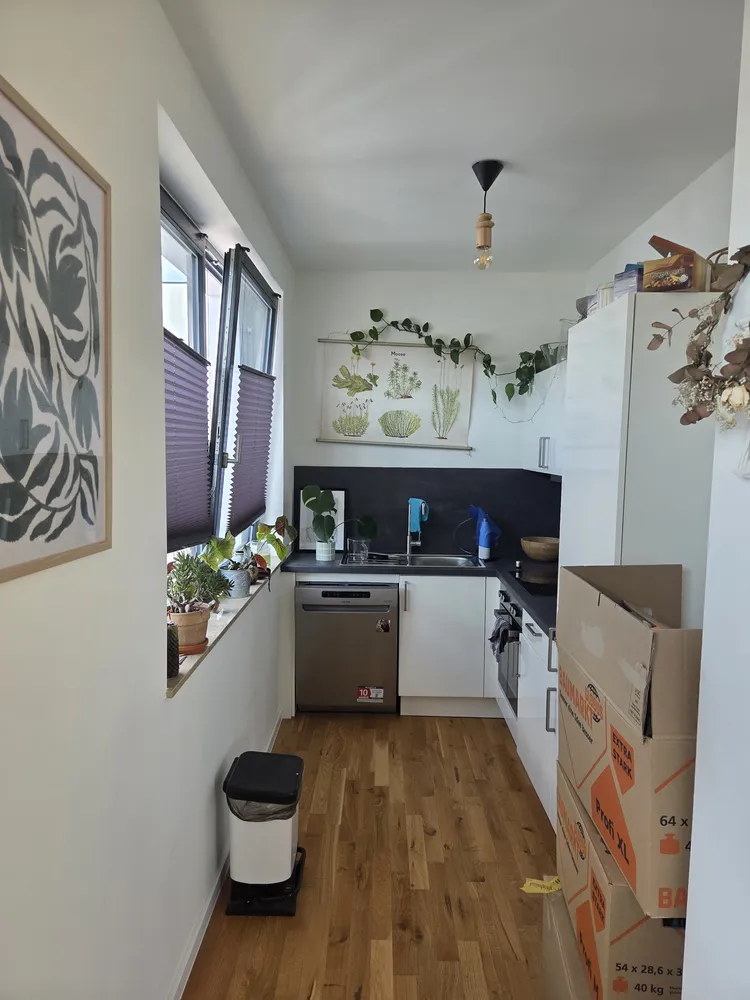 3 Zimmer Wohnung mit 75 m² in Magdeburg – Bild 3