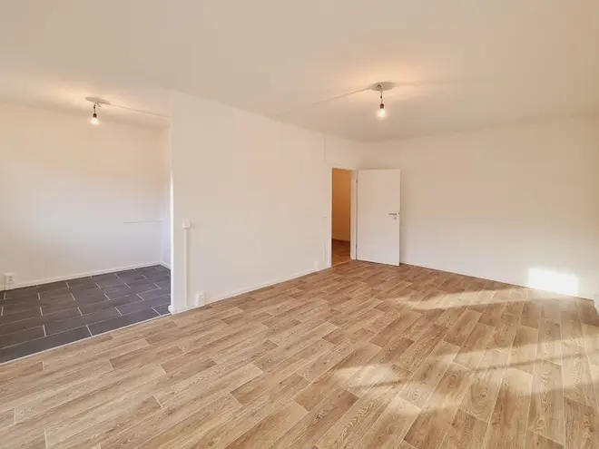 3 Zimmer Wohnung mit 67 m² in Dresden – Bild 3