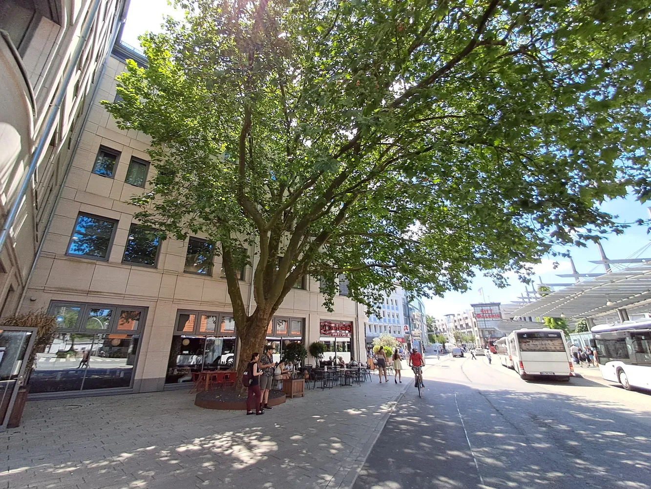 3 Zimmer Wohnung mit 150 m² in Siegen – Bild 3