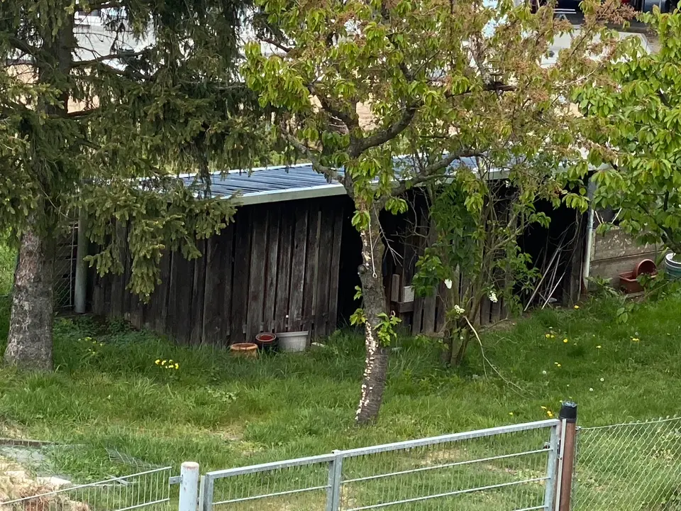 3 Zimmer Wohnung mit 75 m² in Brandenburg an der Havel – Bild 5