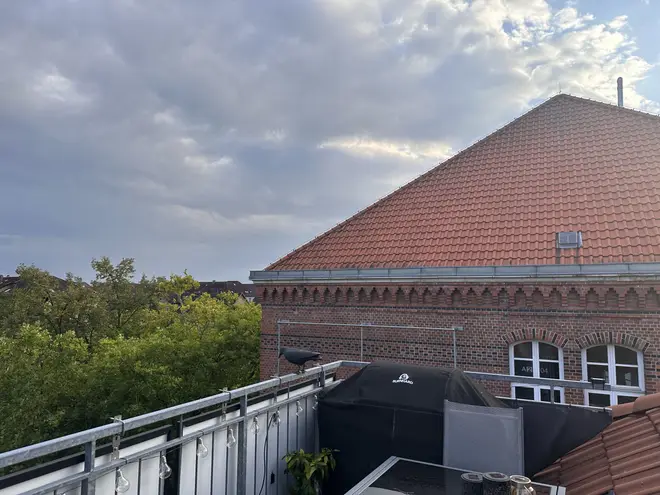 3 Zimmer Wohnung mit 125 m² in Braunschweig – Bild 6