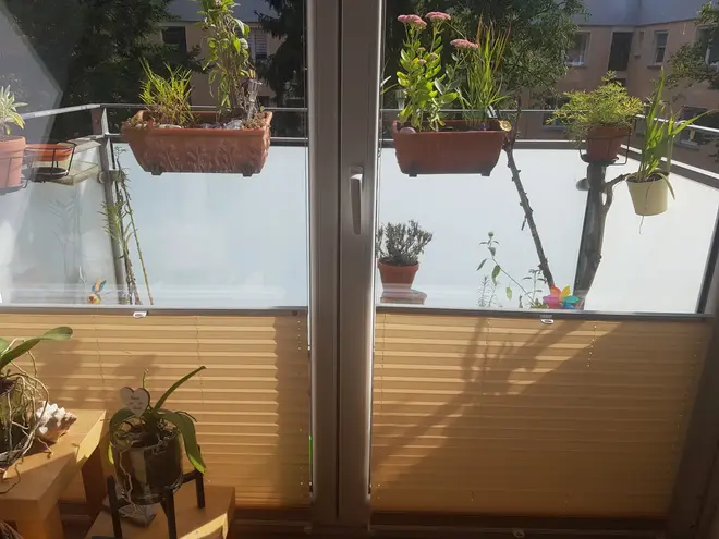 3 Zimmer Wohnung mit 70 m² in Hannover – Bild 7