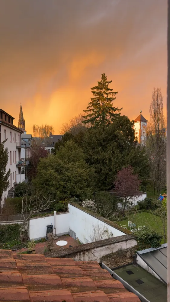 1 Zimmer Wohnung mit 11 m² in Freiburg im Breisgau – Bild 2