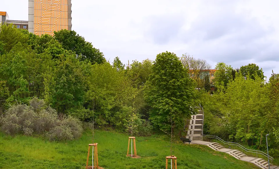 Studio mit 37 m² in Neubrandenburg – Bild 3