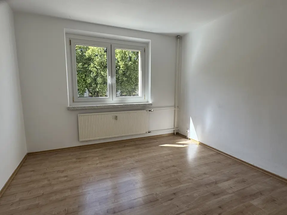 2 Zimmer Wohnung mit 47 m² in Greifswald – Bild 1