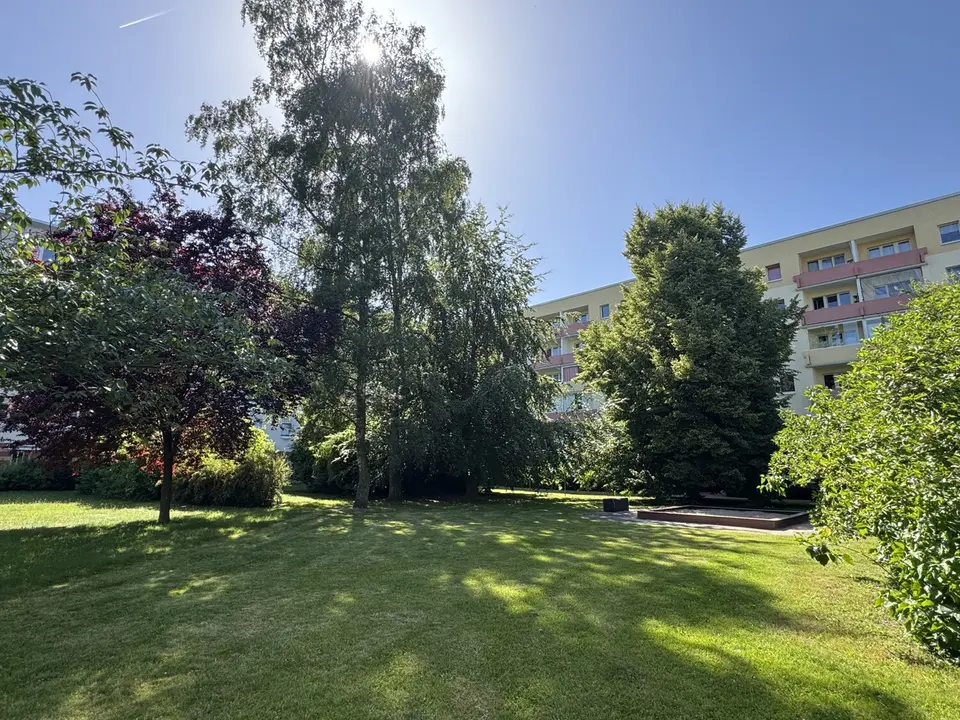 2 Zimmer Wohnung mit 47 m² in Greifswald – Bild 3
