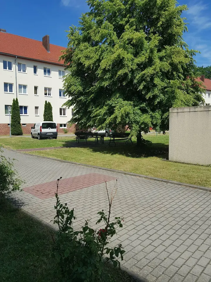 Studio mit 32 m² in Cottbus – Bild 4
