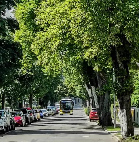 6 Zimmer Haus mit 145 m² in Berlin – Bild 8