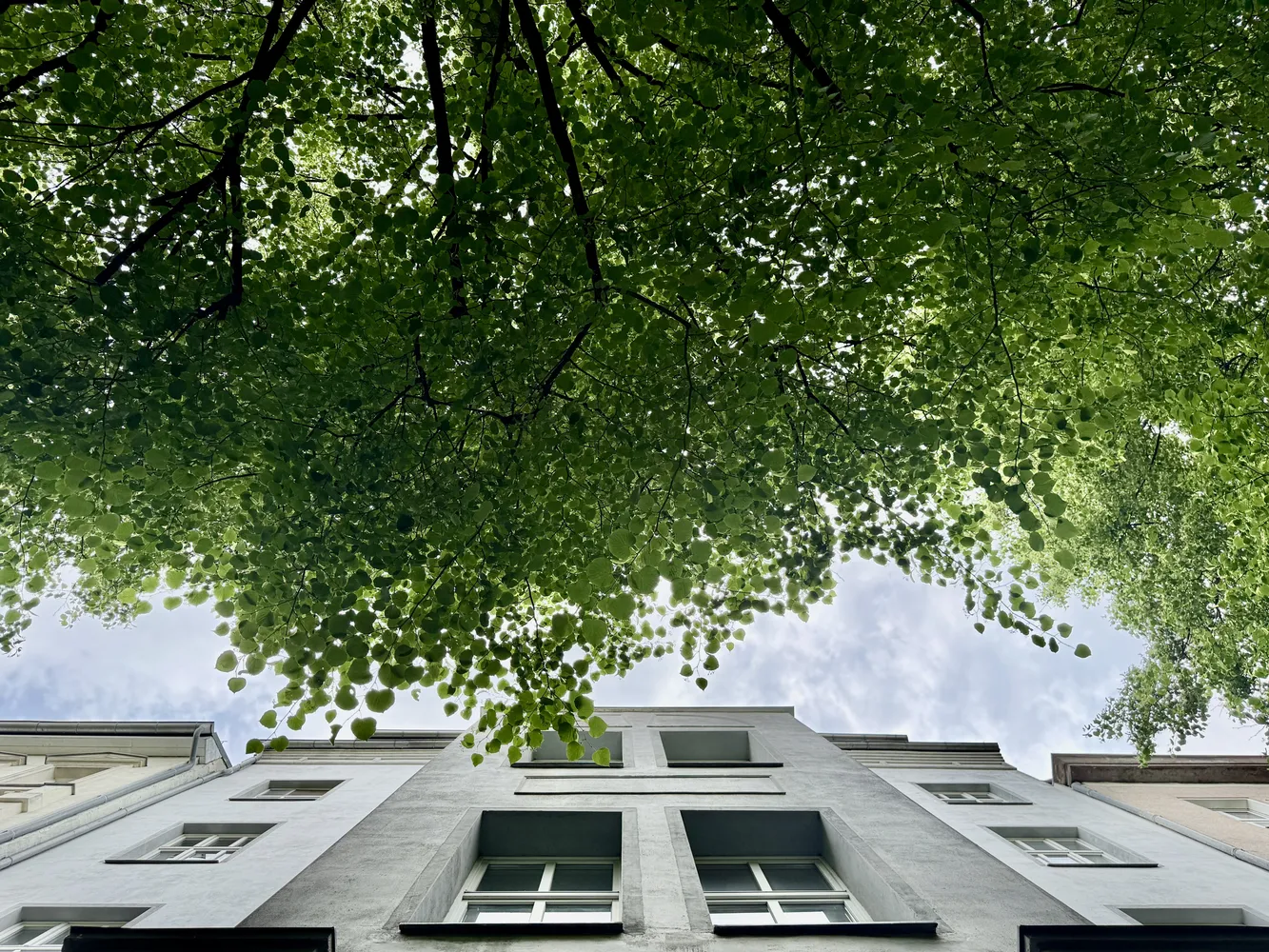 3 Zimmer Wohnung mit 107 m² in Berlin – Bild 4