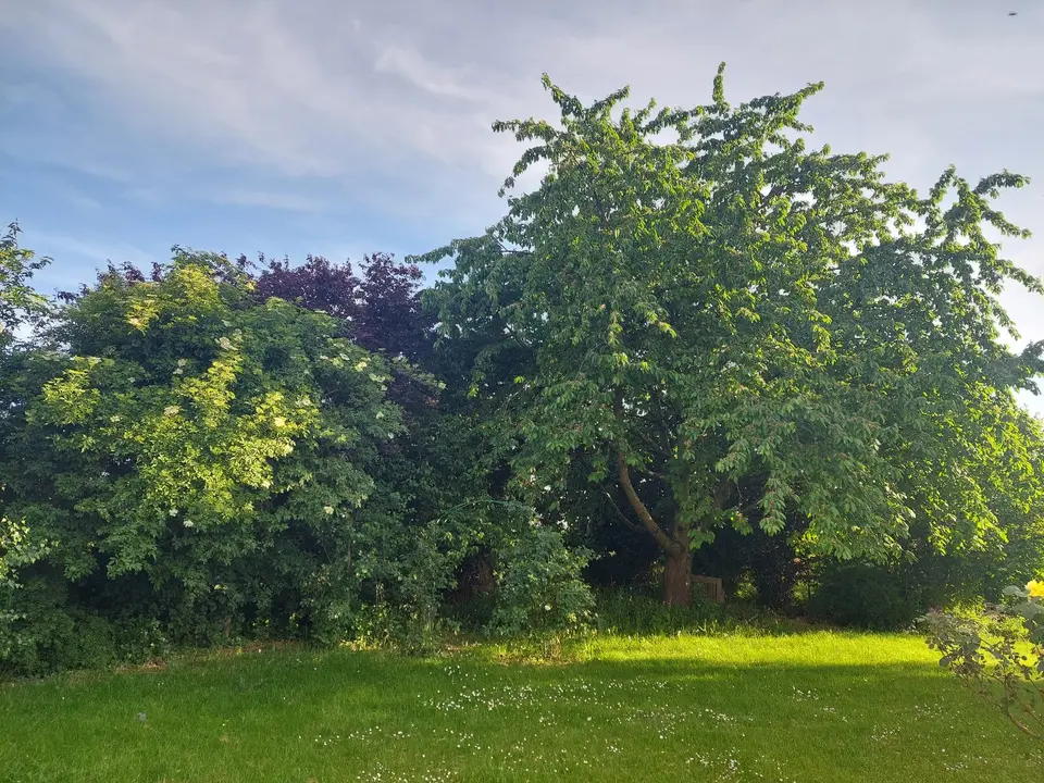 WG-Zimmer mit 20 m² in Brühl – Bild 6