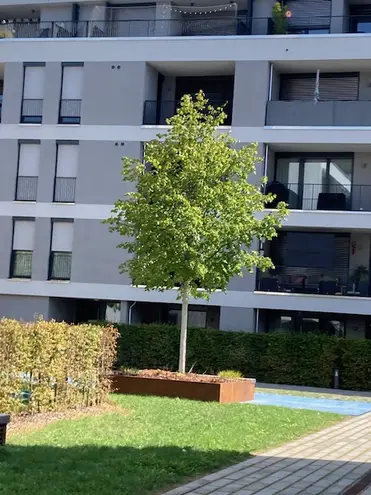3 Zimmer Wohnung mit 94 m² in Augsburg – Bild 1