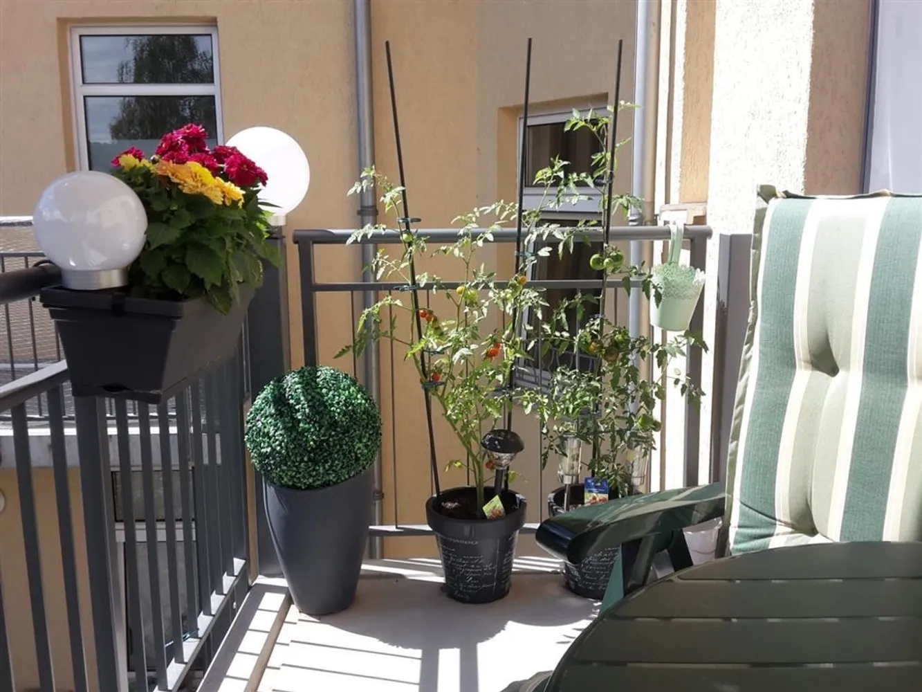 2 Zimmer Wohnung mit 60 m² in Zwickau – Bild 10