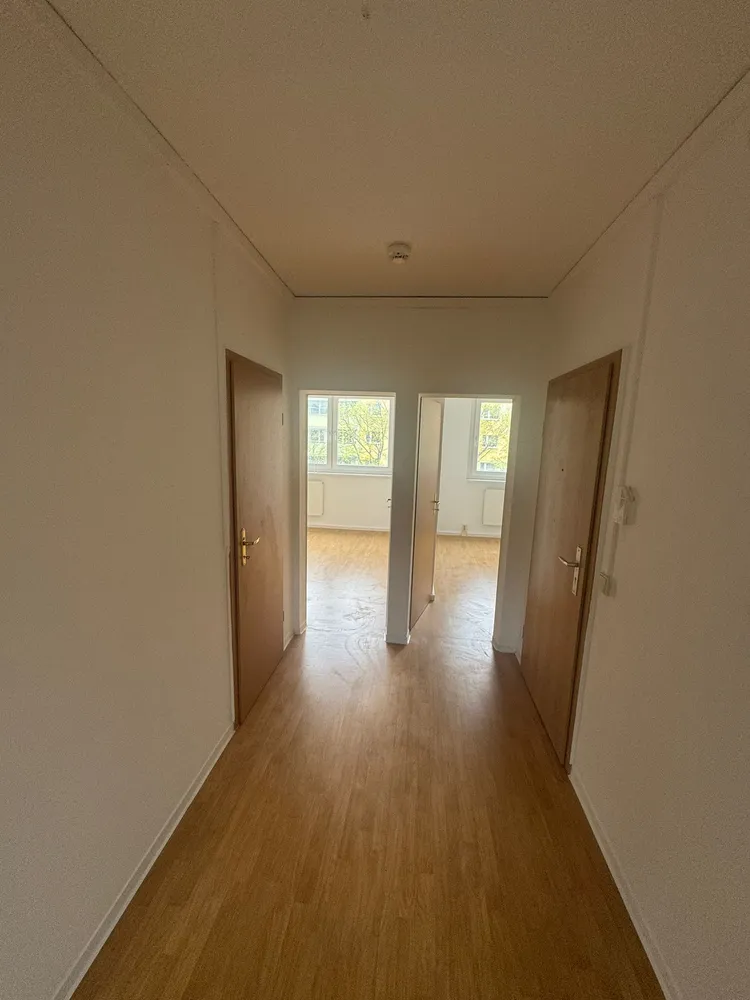 3 Zimmer Wohnung mit 58 m² in Dessau-Roßlau – Bild 5