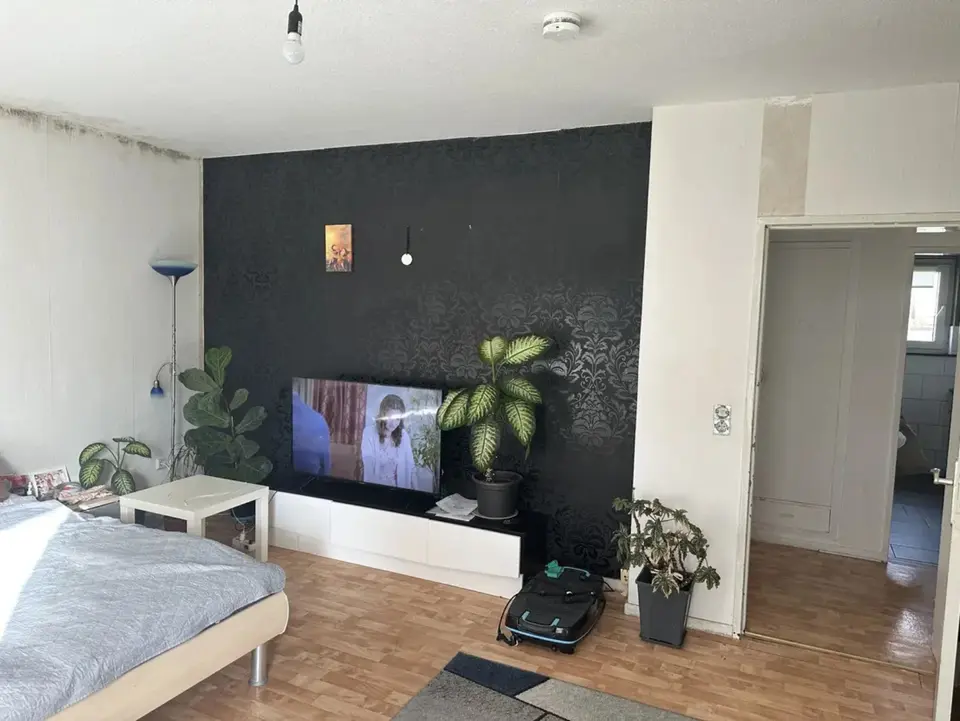 2 Zimmer Wohnung mit 20 m² in Fulda – Bild 5