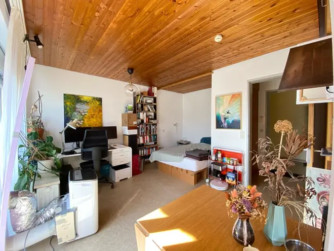 1 Zimmer Wohnung mit 29 m² in Gießen – Bild 1