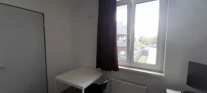 1 Zimmer Wohnung mit 24 m² in Potsdam – Bild 5