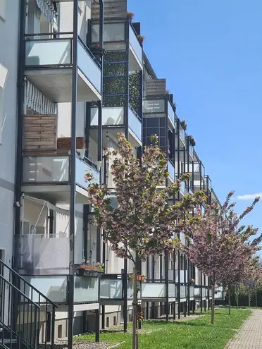 2 Zimmer Wohnung mit 49 m² in Magdeburg – Bild 2