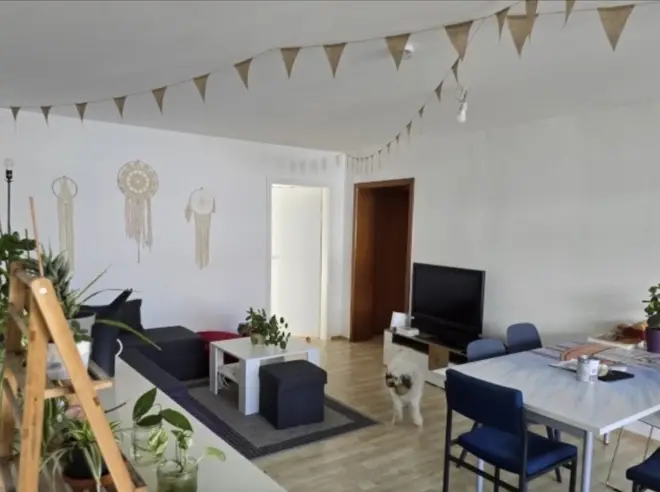 1 Zimmer Wohnung mit 17 m² in Mainz – Bild 4