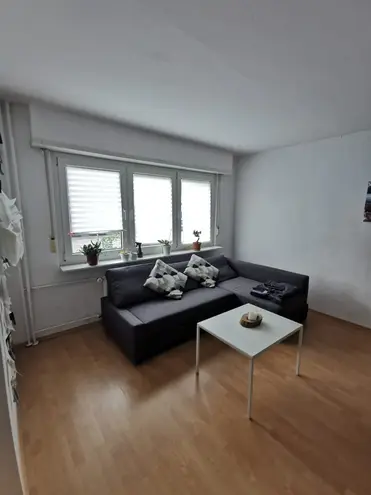 3 Zimmer Wohnung mit 47 m² in Ludwigshafen am Rhein – Bild 4