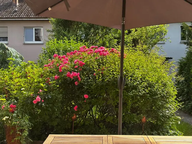 5 Zimmer Haus mit 113 m² in Oberursel (Taunus) – Bild 5