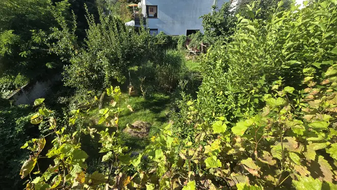 1 Zimmer Wohnung mit 20 m² in Darmstadt – Bild 4