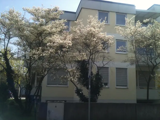 3 Zimmer Wohnung mit 106 m² in Ingolstadt – Bild 4