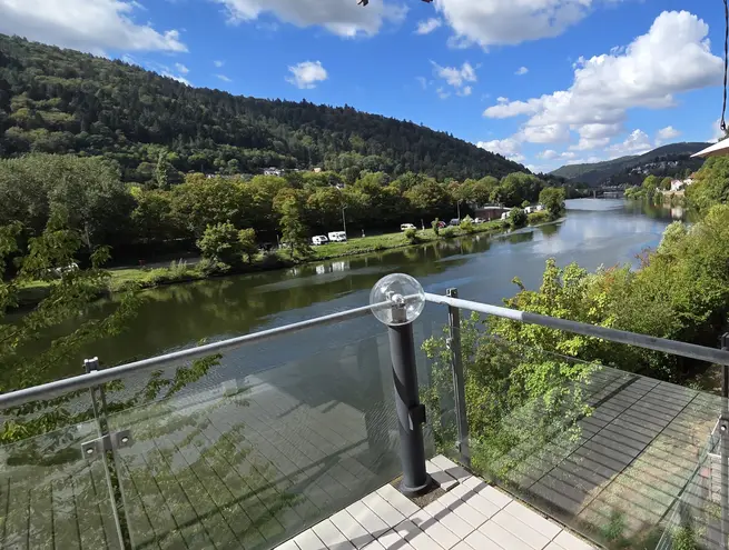 4 Zimmer Wohnung mit 137 m² in Heidelberg – Bild 1