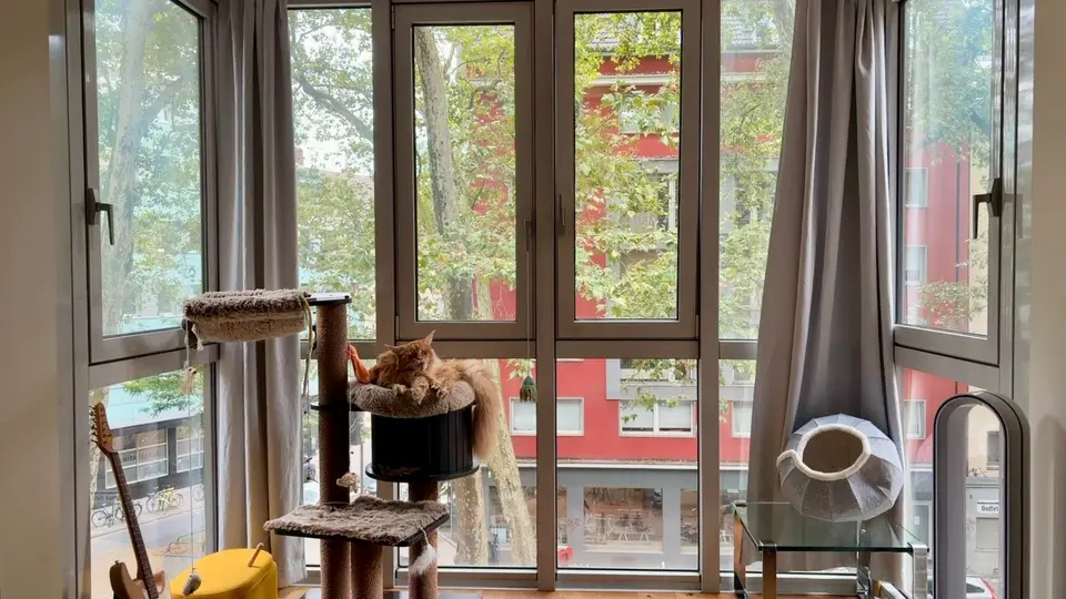 WG-Zimmer mit 85 m² in Brühl – Bild 5