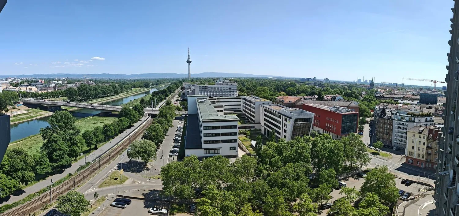 1 Zimmer Wohnung mit 32 m² in Mannheim – Bild 1