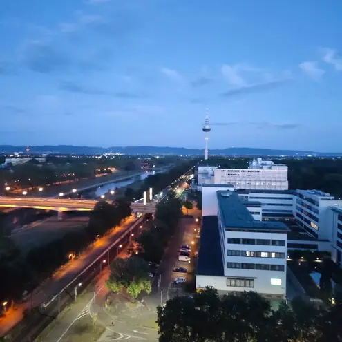 1 Zimmer Wohnung mit 32 m² in Mannheim – Bild 8