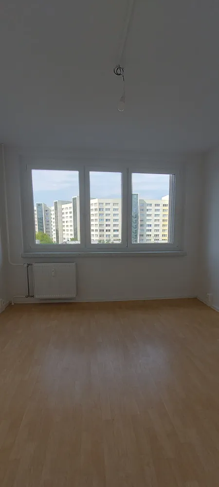 2 Zimmer Wohnung mit 51 m² in Dresden – Bild 3