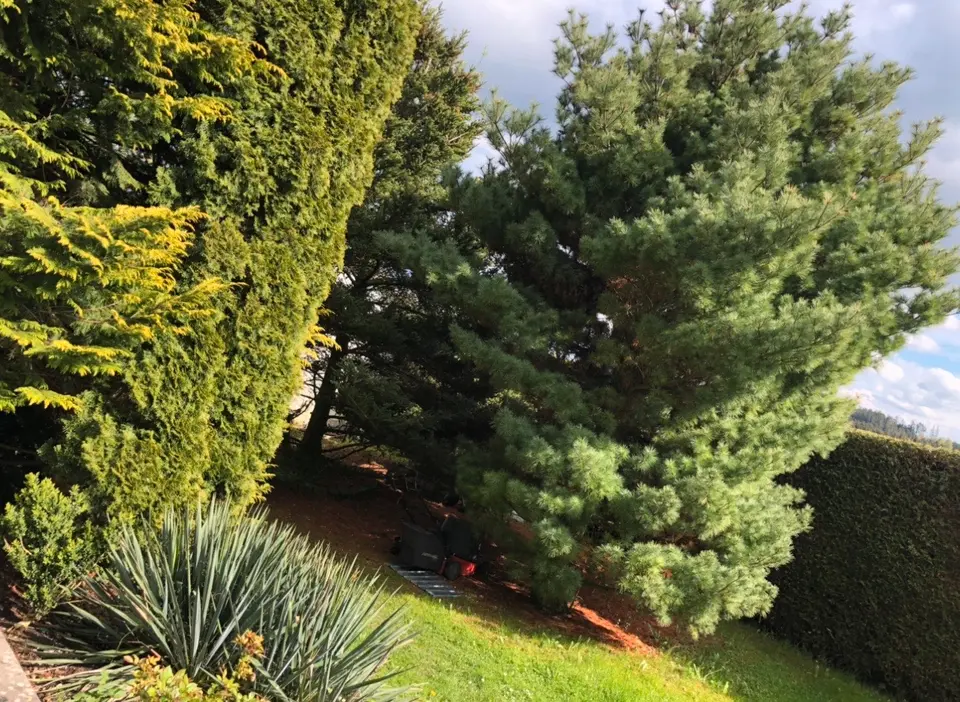 3 Zimmer Wohnung mit 110 m² in Landshut – Bild 4