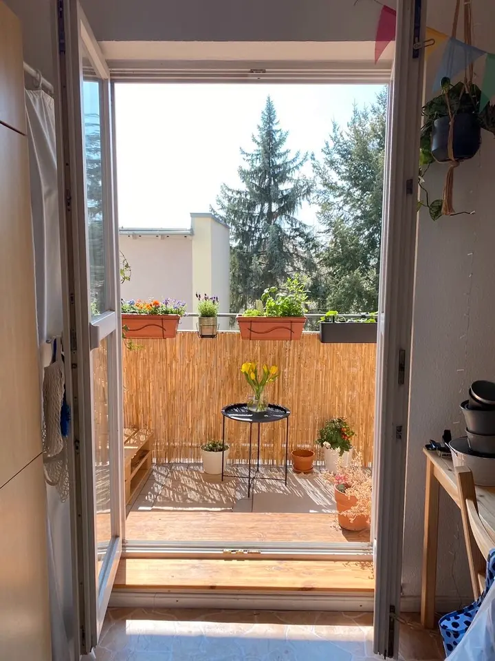2 Zimmer Wohnung mit 34 m² in Weimar – Bild 3