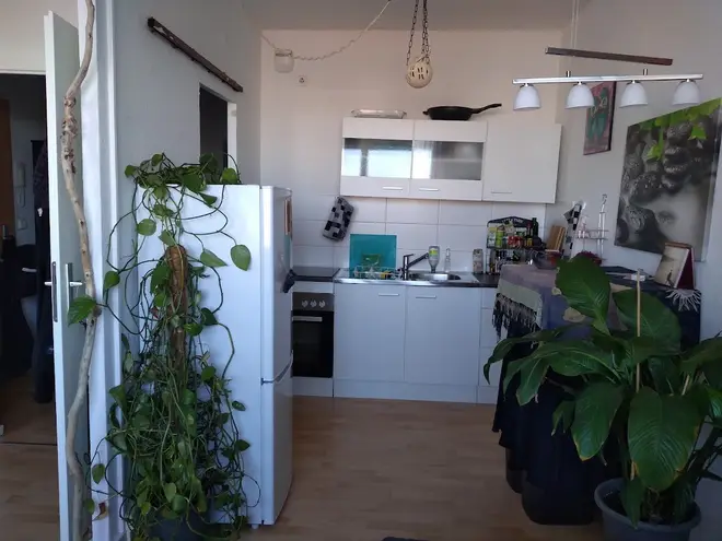 2 Zimmer Wohnung mit 49 m² in Halle (Saale) – Bild 1