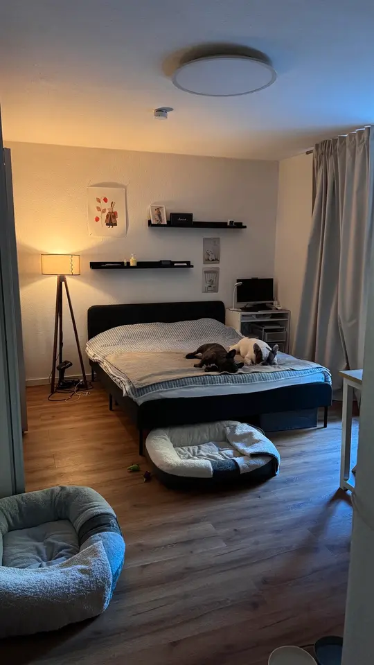 Studio mit 23 m² in Kelheim – Bild 1