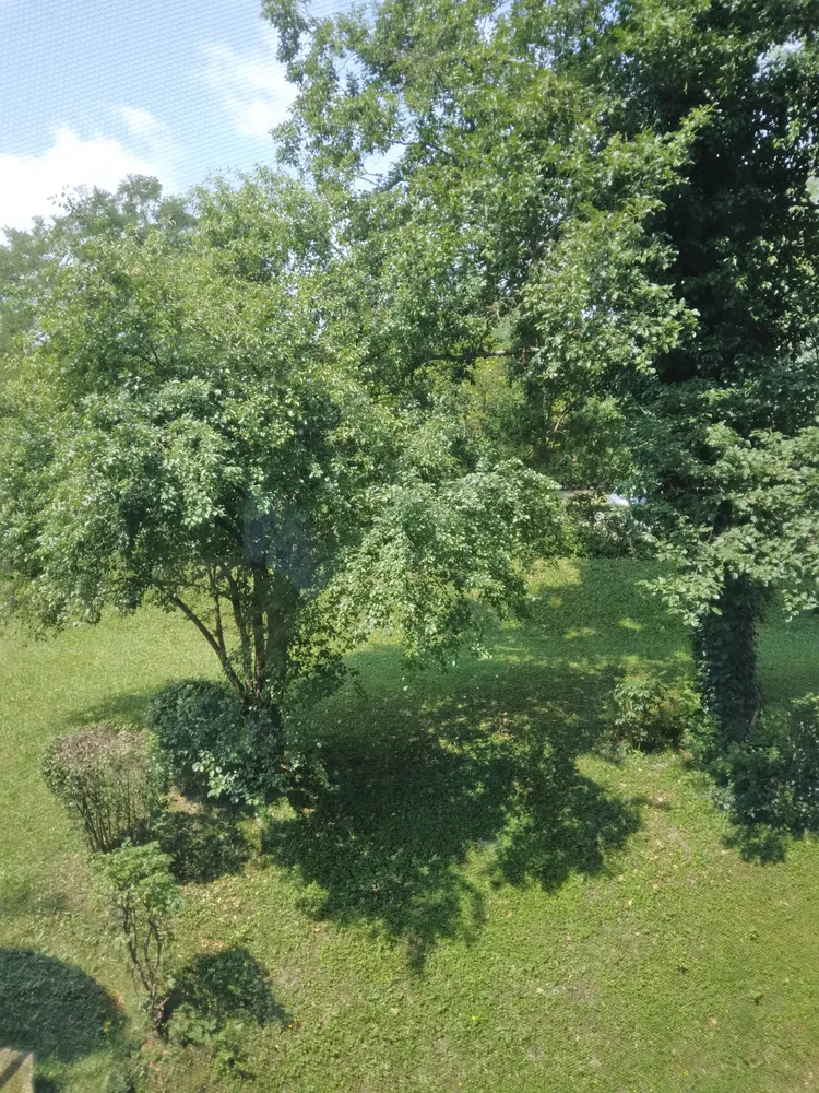 1 Zimmer Wohnung mit 20 m² in Passau – Bild 5