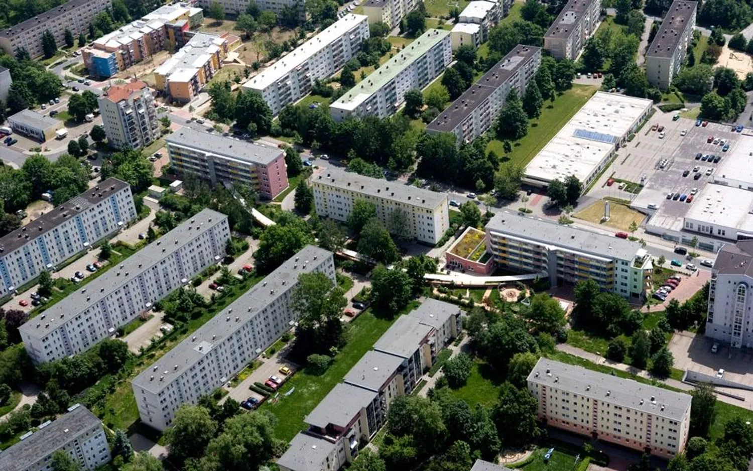 2 Zimmer Wohnung mit 50 m² in Zwickau – Bild 3