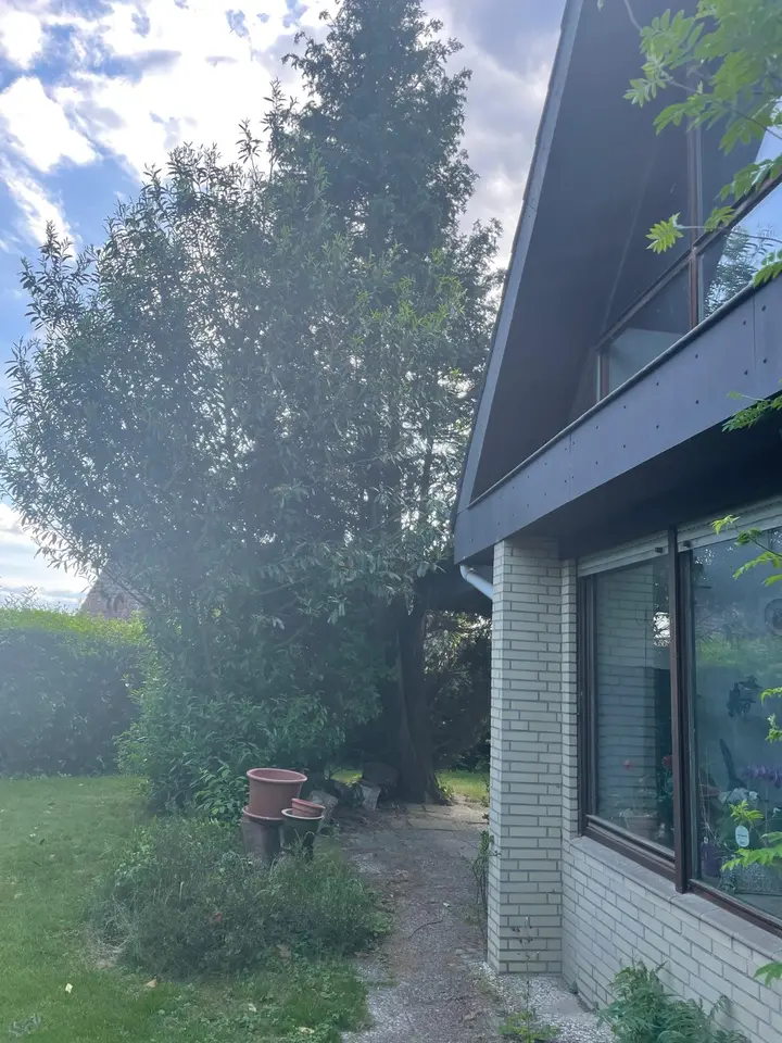 WG-Zimmer mit 17 m² in Lüneburg – Bild 2