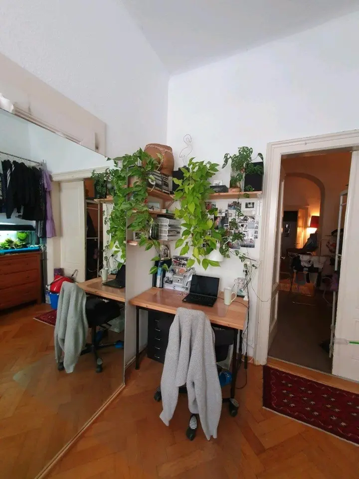 2 Zimmer Wohnung mit 15 m² in Dresden – Bild 4