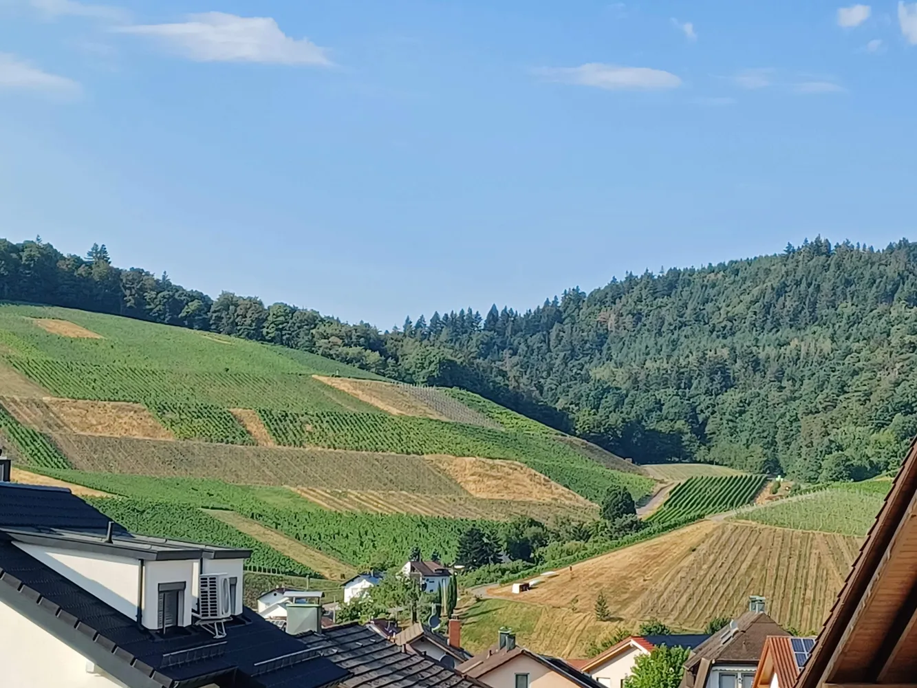 3 Zimmer Wohnung mit 115 m² in Baden-Baden – Bild 1