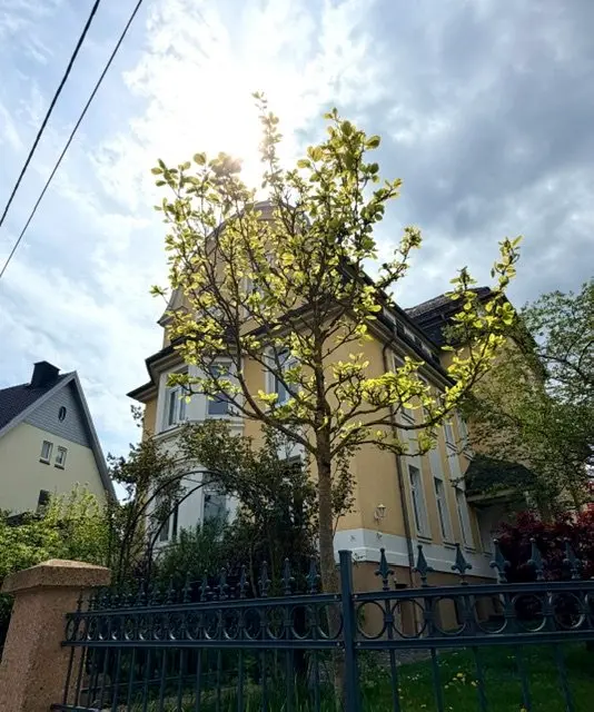 3 Zimmer Wohnung mit 101 m² in Eisenach – Bild 2