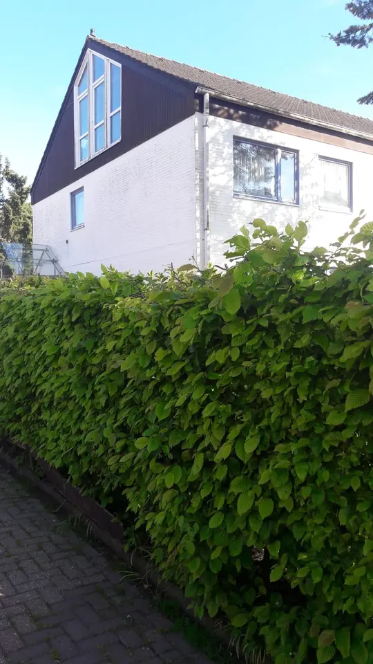 5 Zimmer Wohnung mit 150 m² in Emden – Bild 4