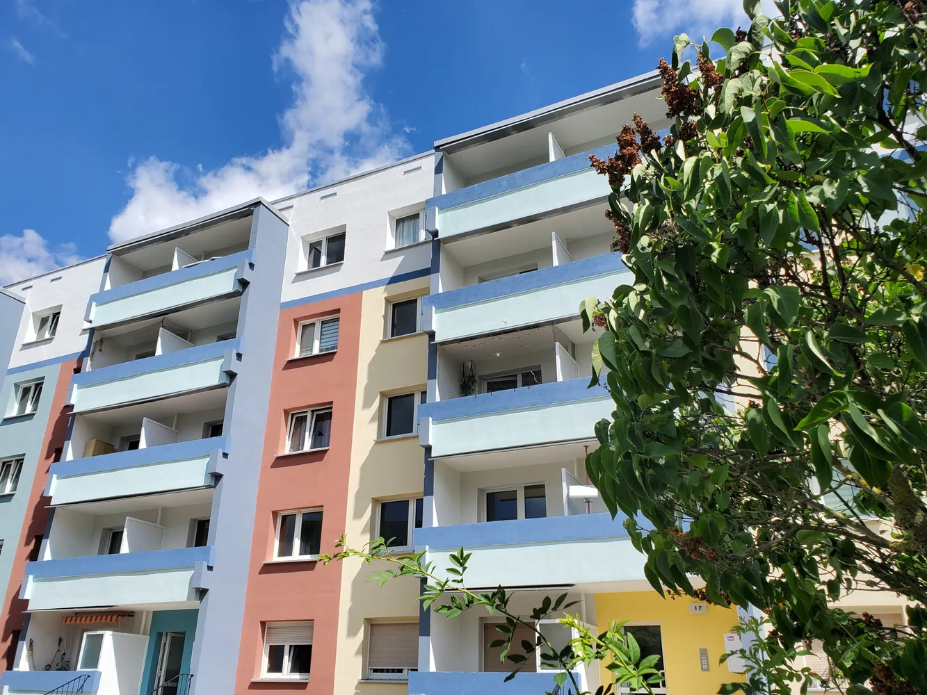 3 Zimmer Wohnung mit 56 m² in Halle (Saale) – Bild 4