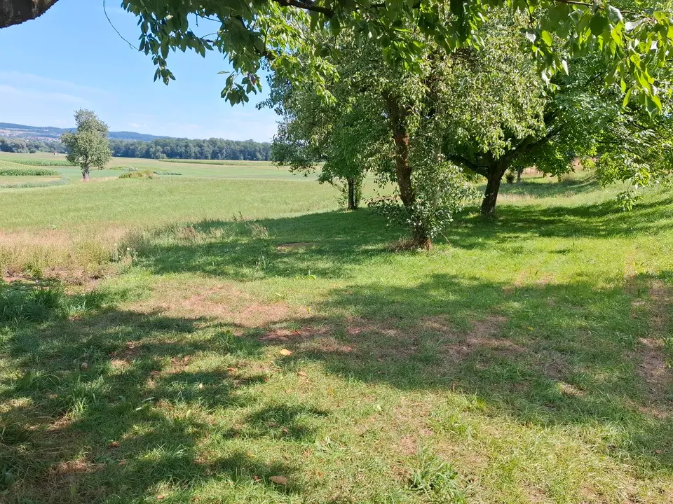 2 Zimmer Wohnung mit 54 m² in Weingarten – Bild 4