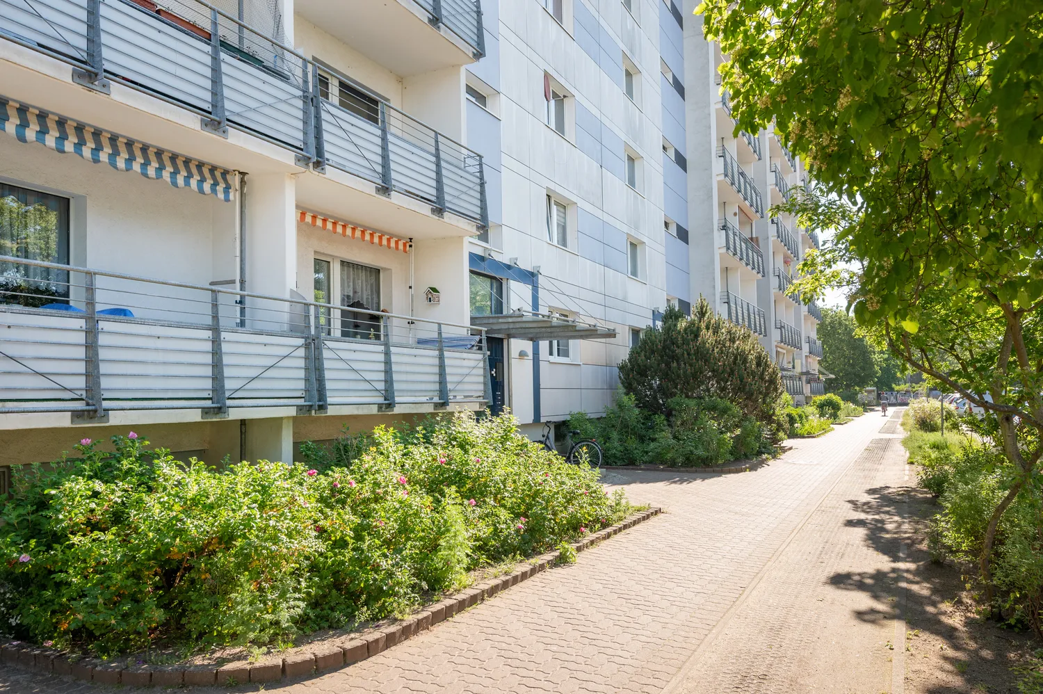 3 Zimmer Wohnung mit 62 m² in Neubrandenburg – Bild 4