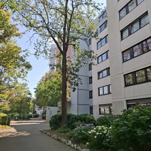 1 Zimmer Wohnung mit 33 m² in Wiesbaden – Bild 3