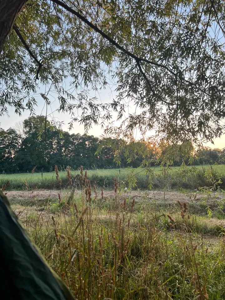 WG-Zimmer mit 15 m² in Uelzen – Bild 5