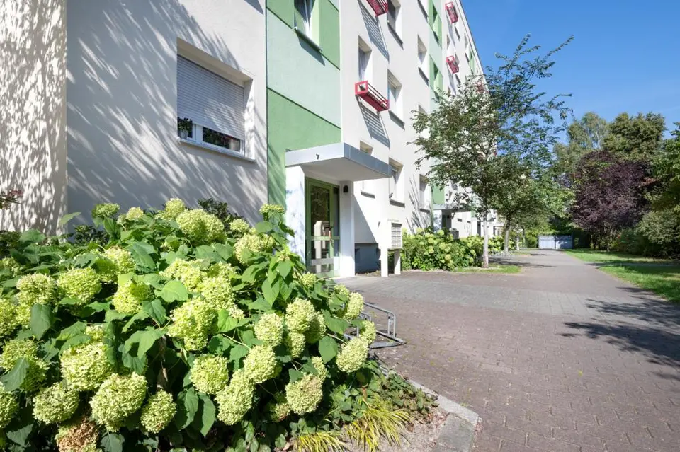 3 Zimmer Wohnung mit 57 m² in Cottbus – Bild 5