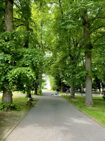 2 Zimmer Wohnung mit 54 m² in Ingolstadt – Bild 1