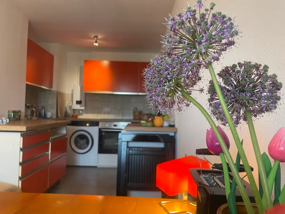 2 Zimmer Wohnung mit 45 m² in Offenbach – Bild 3